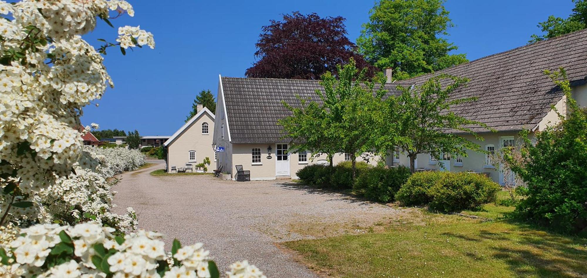 Store Ejlstrup Bed & Breakfast Odense Zewnętrze zdjęcie